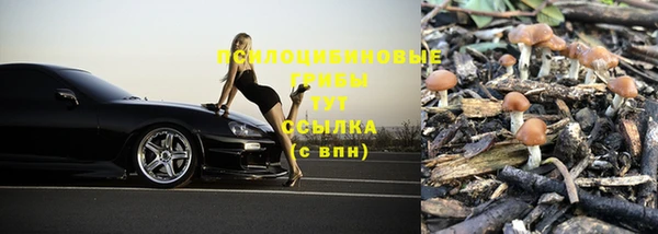ПСИЛОЦИБИНОВЫЕ ГРИБЫ Алексеевка