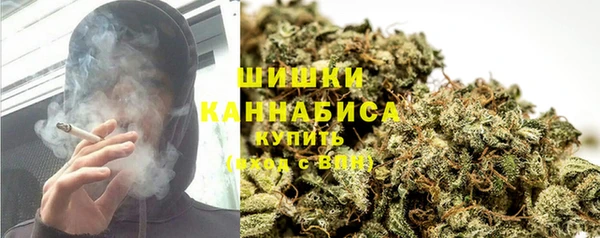 ПСИЛОЦИБИНОВЫЕ ГРИБЫ Алексеевка