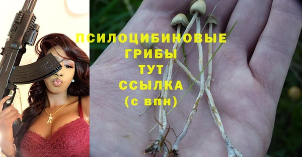 альфа пвп Курчалой