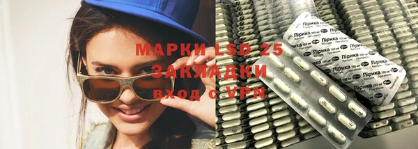 ПСИЛОЦИБИНОВЫЕ ГРИБЫ Алексеевка