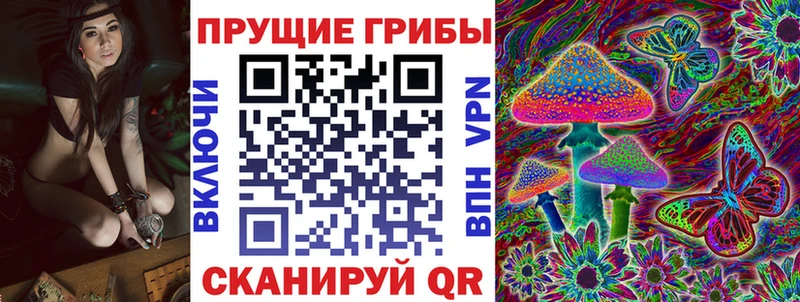 Галлюциногенные грибы MAGIC MUSHROOMS  наркошоп  Шимановск 