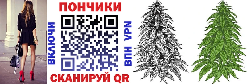 Каннабис Amnesia  купить закладку  Шимановск 
